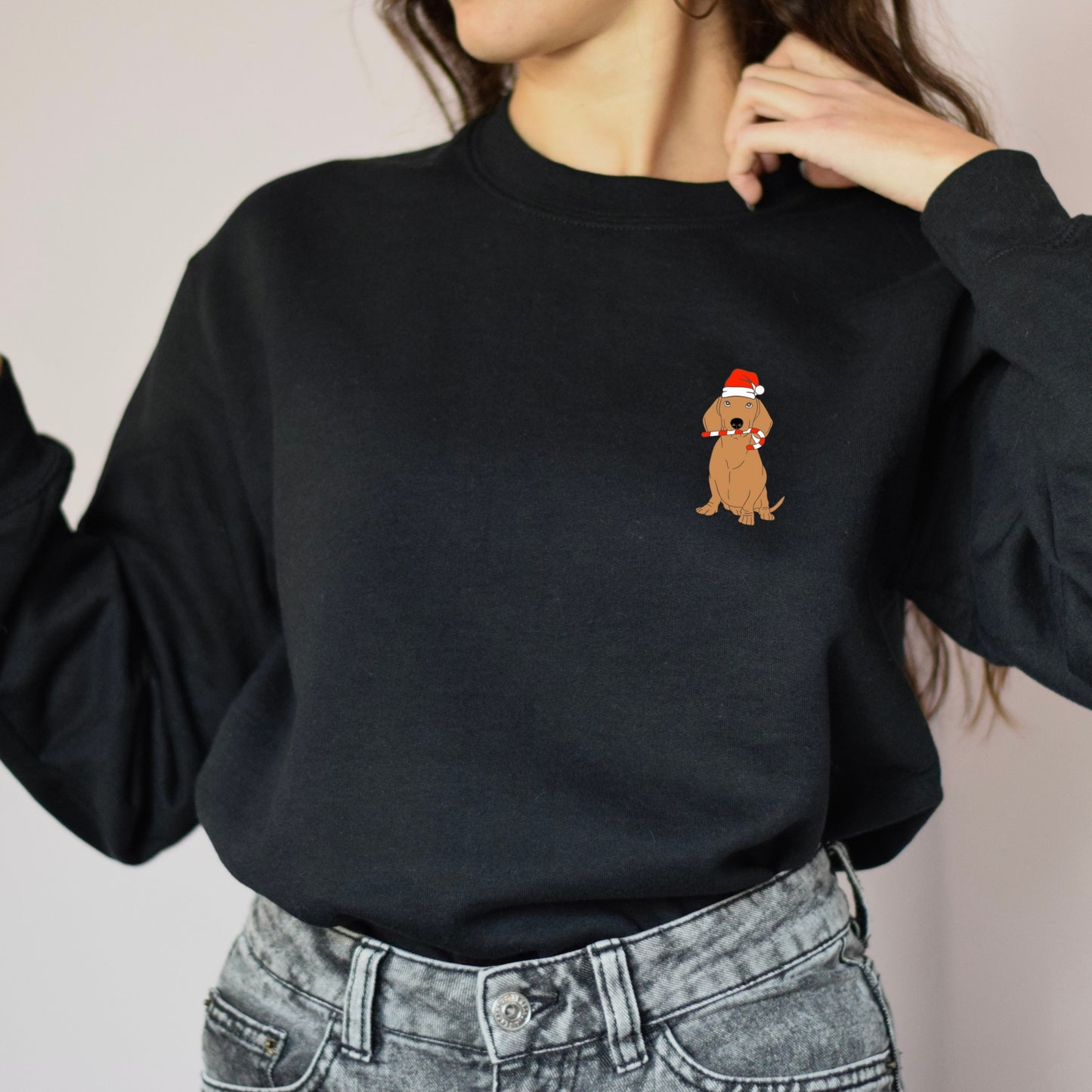 Embroidered Christmas Santa Dog Sweater