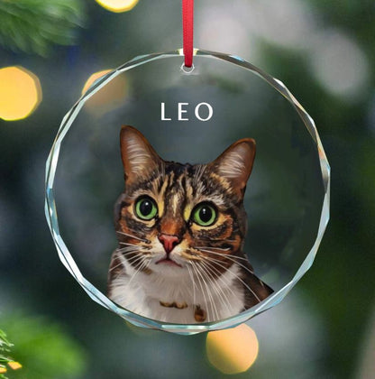 Custom Pet Photo Glass Christmas Ornament