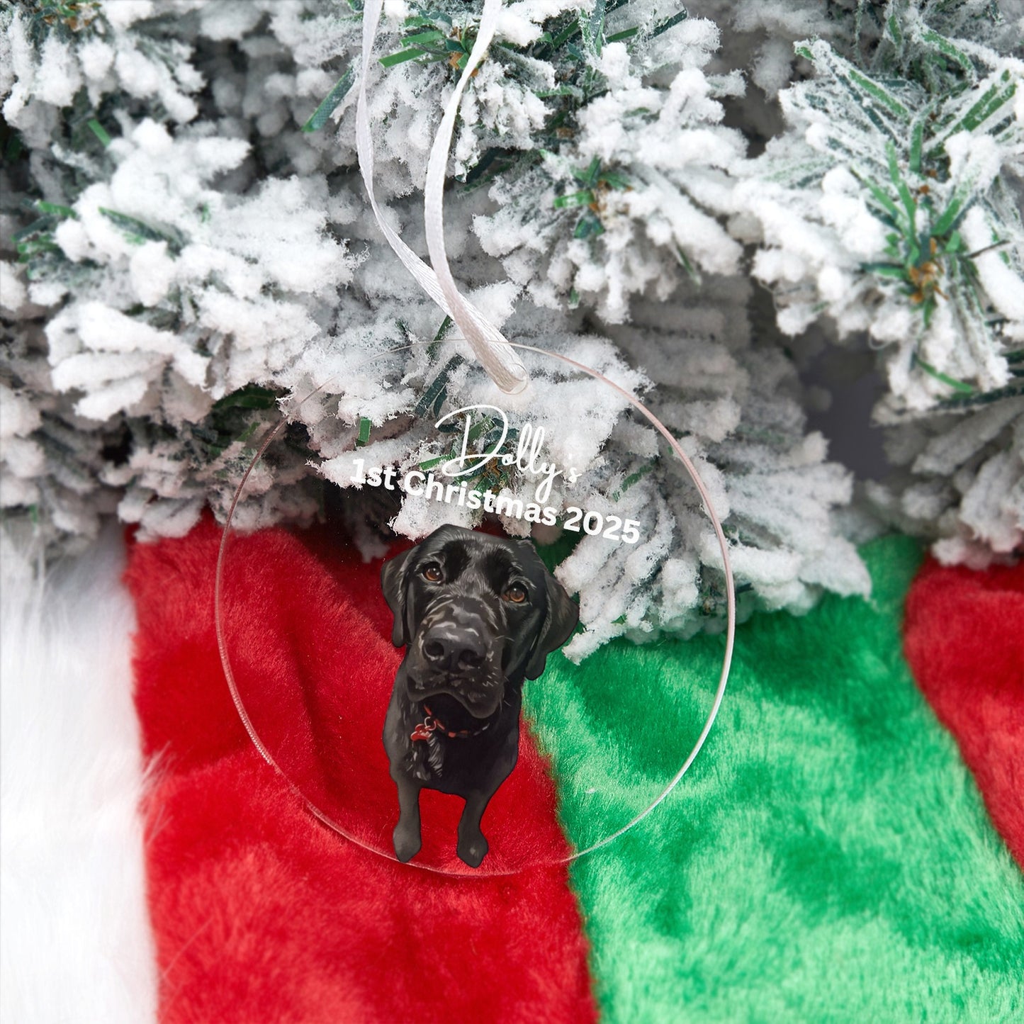 Custom Pet Photo Christmas Ornament: First Christmas Keepsake