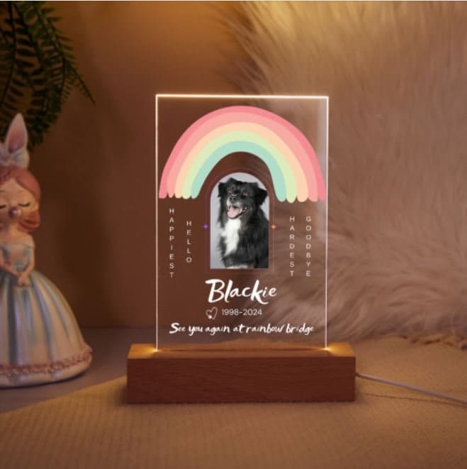 Custom Pet Photo Night Light Pet Memorial Plaque