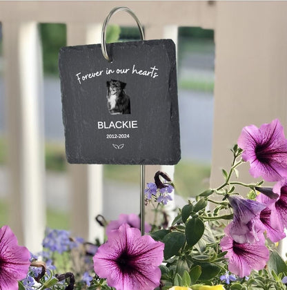 Custom Pet Memorial Photo Name Stone