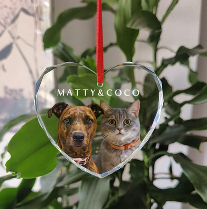 Custom Pet Portrait Ornament Dog Photo Name Glass Bauble Gift for Christmas Cat Face Keepsake
