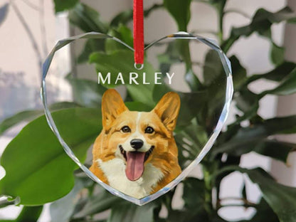 Custom Pet Portrait Ornament Dog Photo Name Glass Bauble Gift for Christmas Cat Face Keepsake