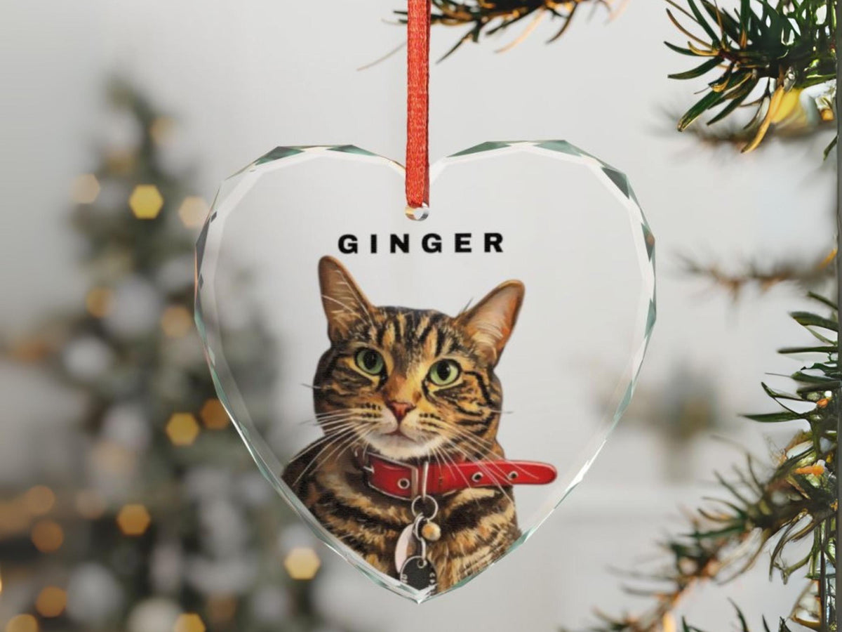 Custom Pet Portrait Ornament Dog Photo Name Glass Bauble Gift for Christmas Cat Face Keepsake